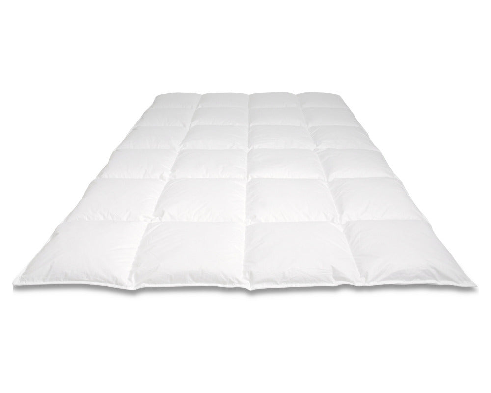 Donzen dekbed van Gogh Winter Plus