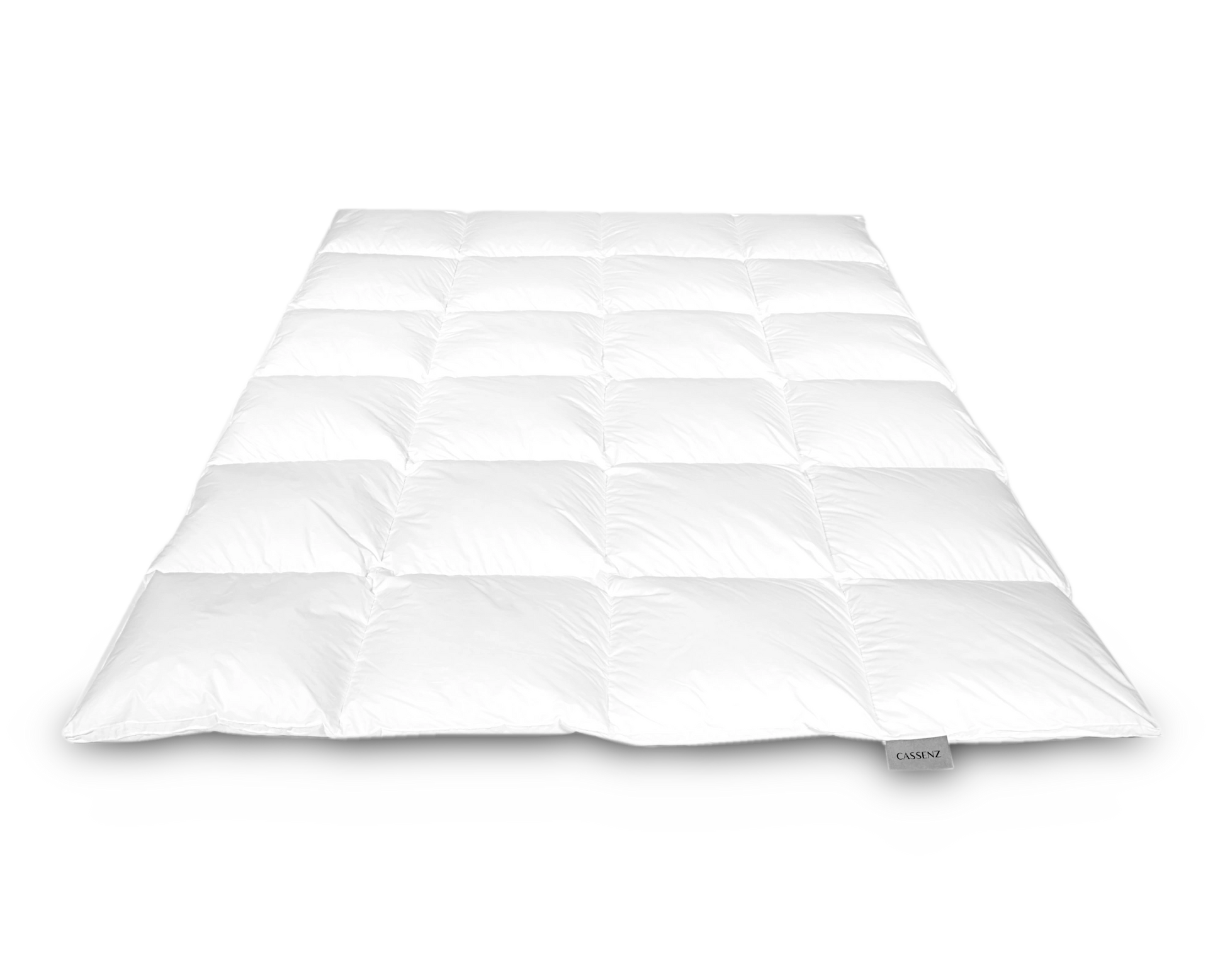 Donzen dekbed Rembrandt Winterplus