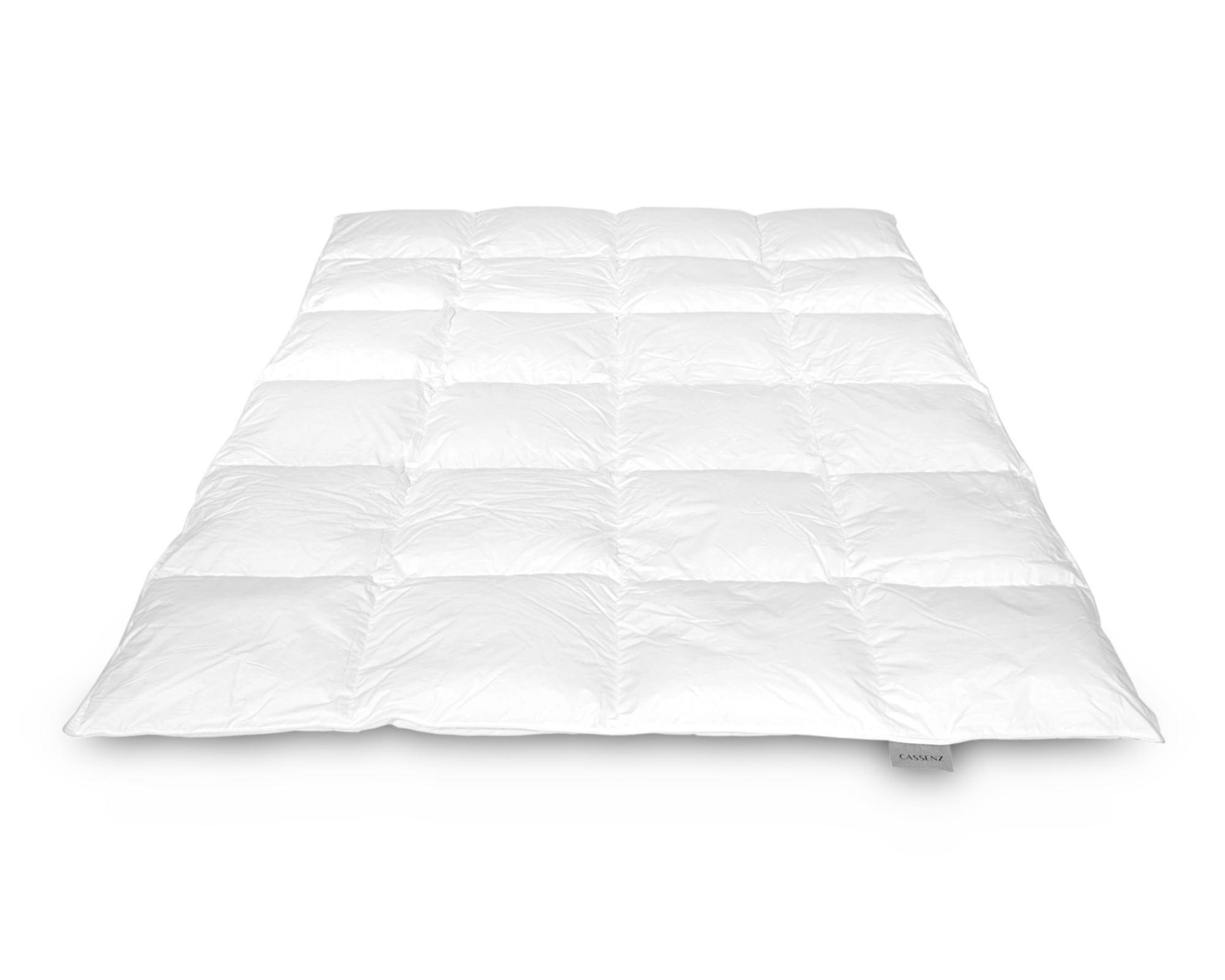 Donzen dekbed Van Gogh Winter Plus