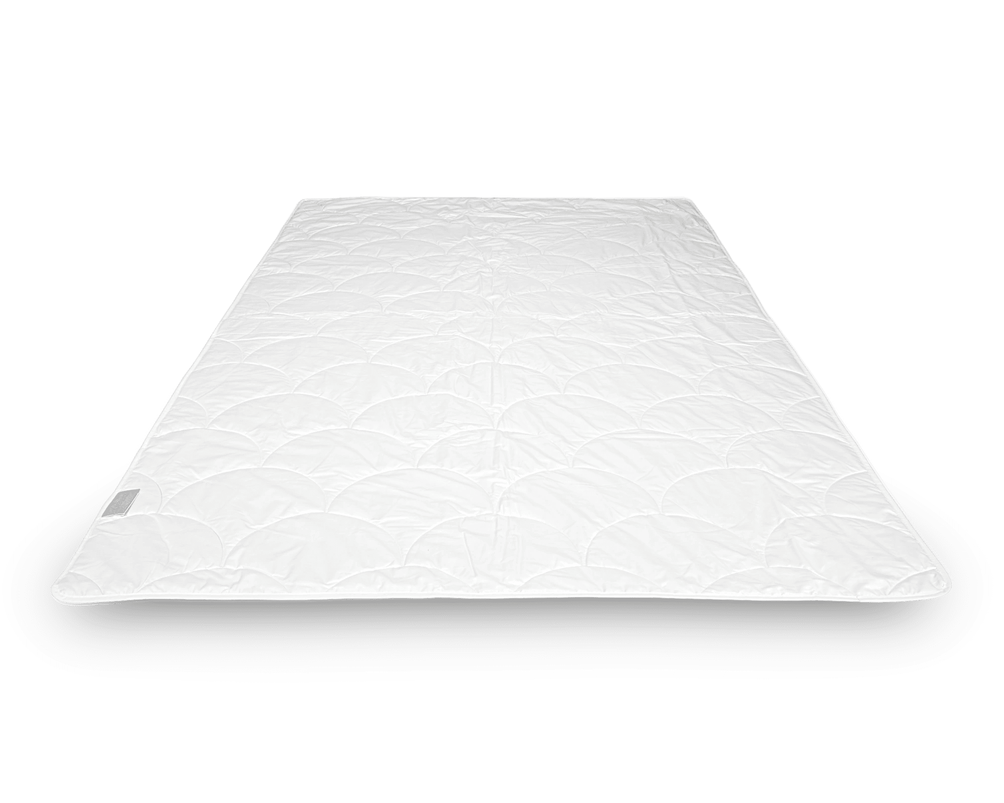 Verdi - Cotton - Cassenz