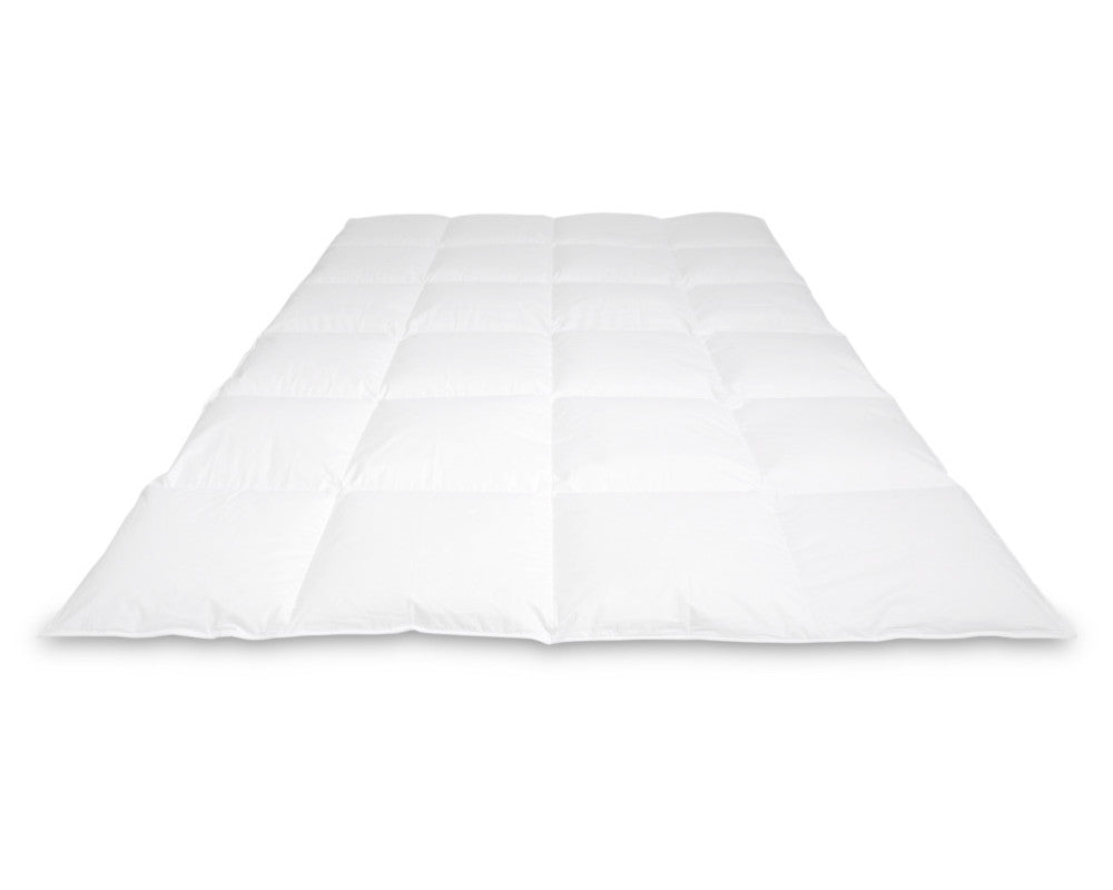 Donzen dekbed Rembrandt Winter
